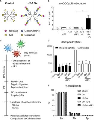 Quantitative Phosphoproteomic Analysis Reveals Dendritic Cell- Specific STAT Signaling After α2-3–Linked Sialic Acid Ligand Binding